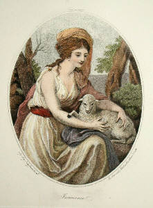 [Item Image]