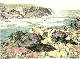 [To Image Page]