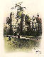 [To Image Page]