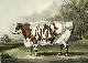 [To Image Page]