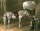 [To Image Page]
