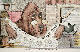 [To Image Page]