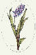 [To Image Page]