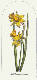 [To Image Page]