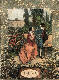 [To Image Page]