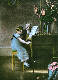 [To Image Page]