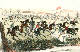 [To Image Page]