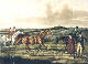 [To Image Page]