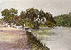 [To Image Page]