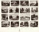 [To Image Page]