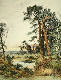 [To Image Page]