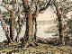 [To Image Page]